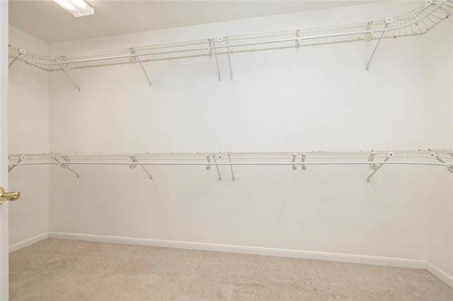 walk in closet featuring light colored carpet