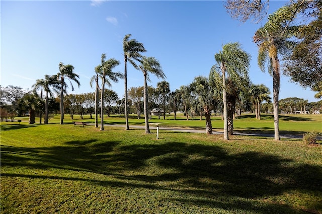 view of property's community with a yard