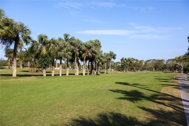 view of property's community with a yard