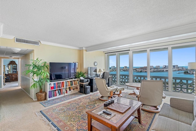 carpeted living room with a textured ceiling and ornamental molding