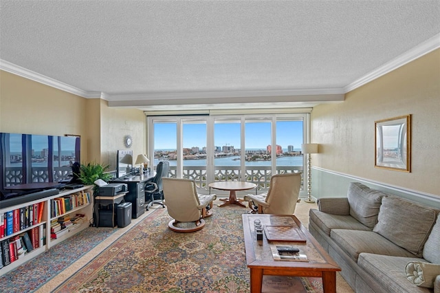 living room featuring ornamental molding and a textured ceiling