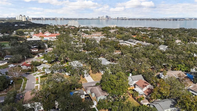 2706 W Tyson Ave, Tampa, FL 33611 - photo 5