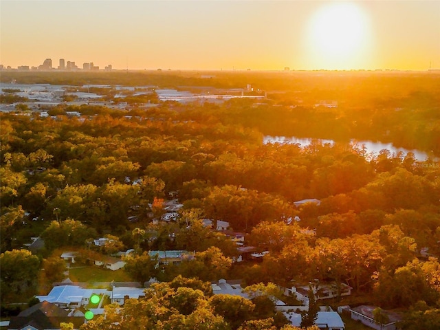 nature at dusk with a view of city