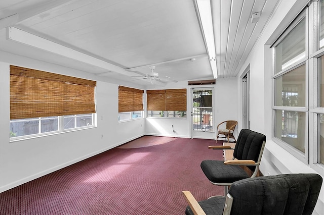 sitting room with ceiling fan and carpet