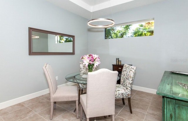 dining room featuring a wealth of natural light