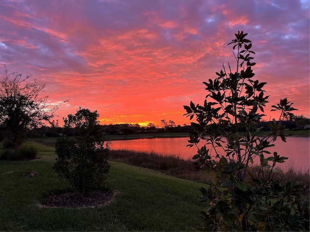 property view of water