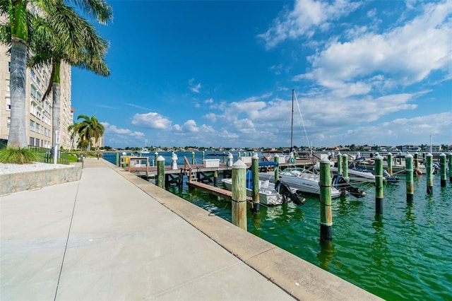 dock area with a water view