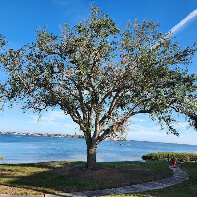 property view of water