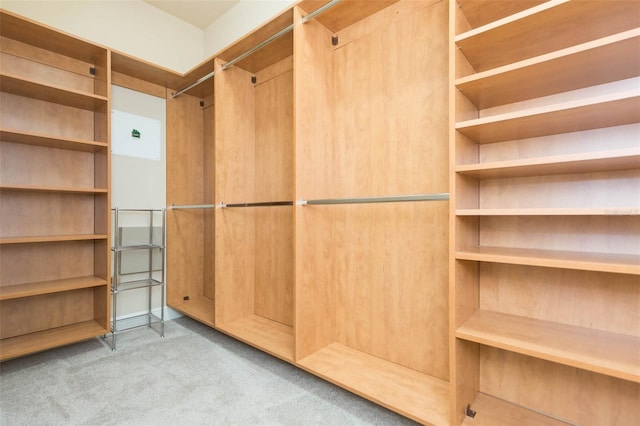 spacious closet with light colored carpet