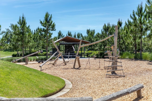 view of jungle gym