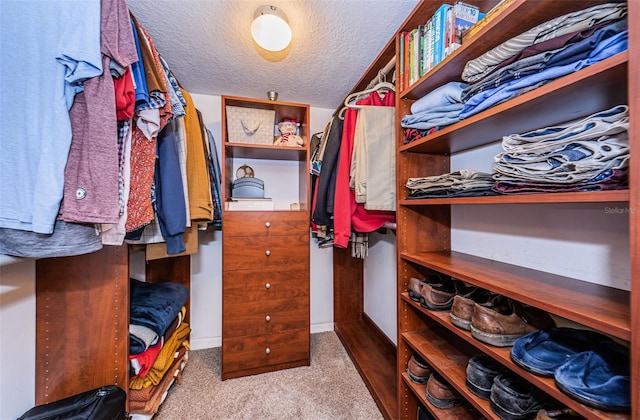 spacious closet with carpet floors