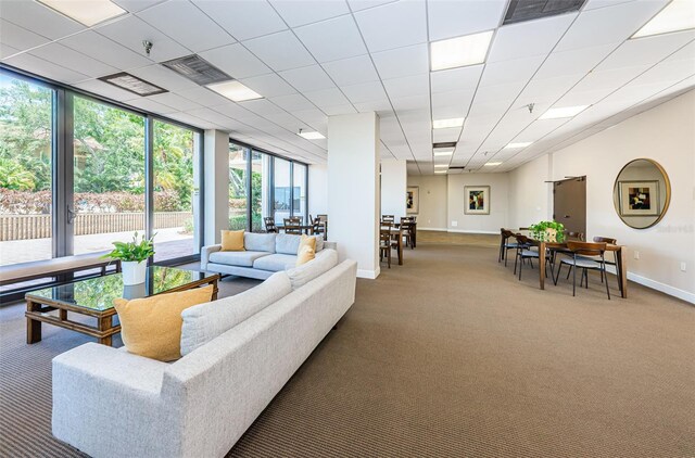 living room featuring expansive windows and carpet flooring