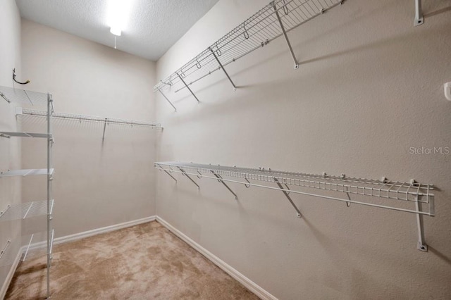 spacious closet with carpet flooring