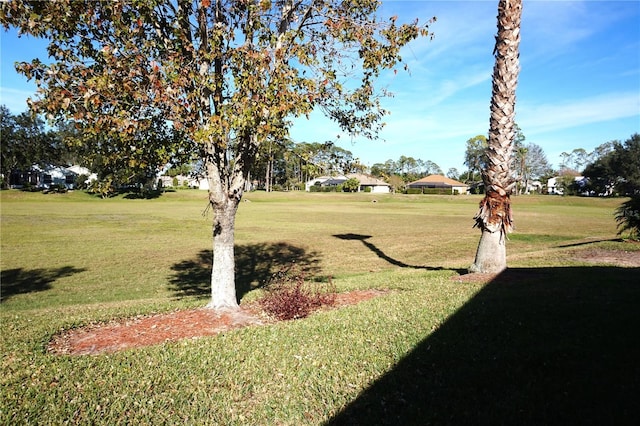 view of community featuring a yard