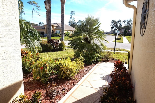 11021 Edge Park Dr, Hudson, FL 34667 - view of yard