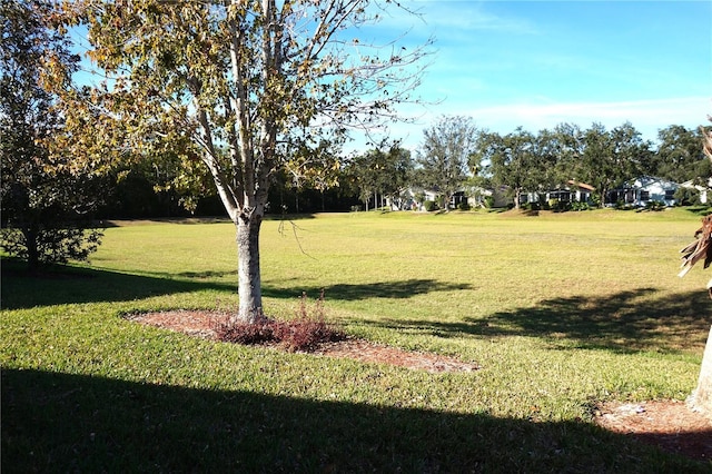 11021 Edge Park Dr, Hudson, FL 34667 - view of grassy yard