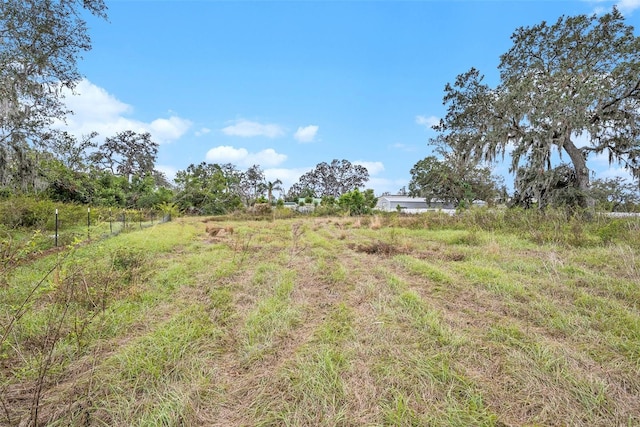 view of yard with a rural view