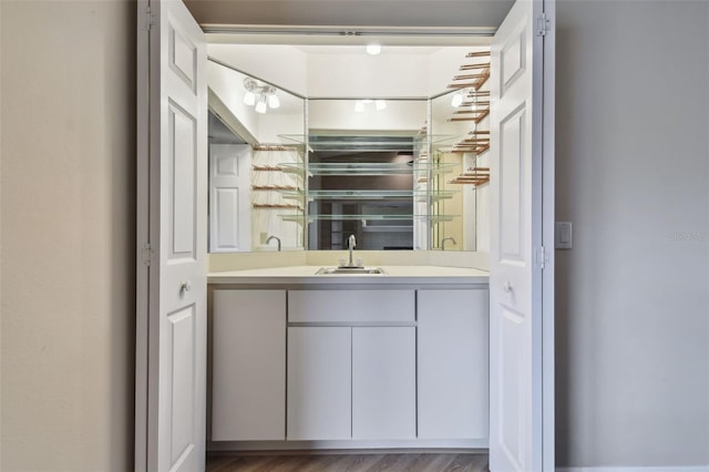 bathroom featuring wood-type flooring and vanity