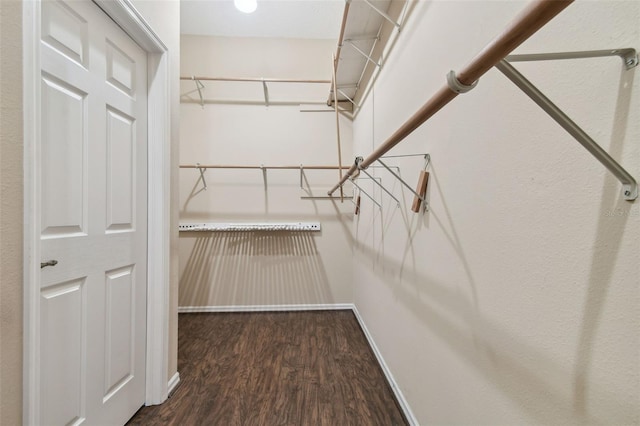 walk in closet featuring dark hardwood / wood-style floors