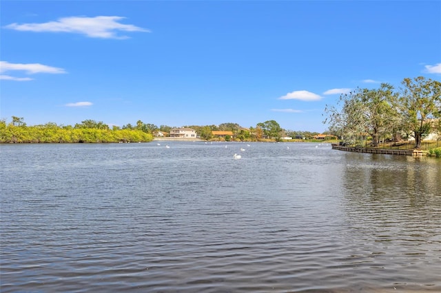 property view of water