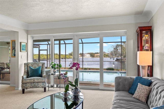 7233 15th Ct NE, Saint Petersburg, FL 33702 - living area featuring carpet floors, a water view, baseboards, and a textured ceiling