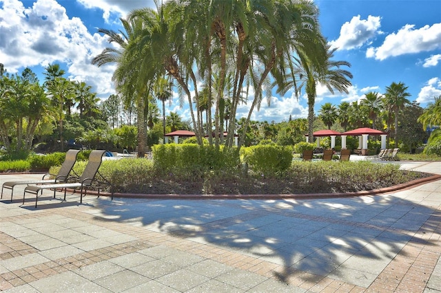 20314 Chestnut Grove Dr, Tampa, FL 33647 - view of home's community