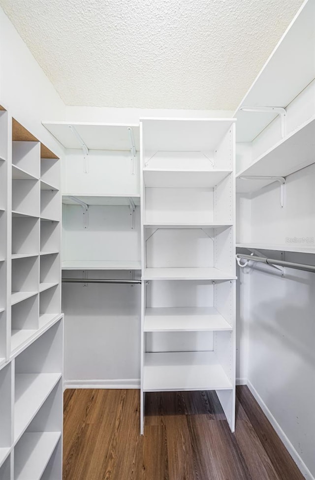 walk in closet featuring dark hardwood / wood-style flooring