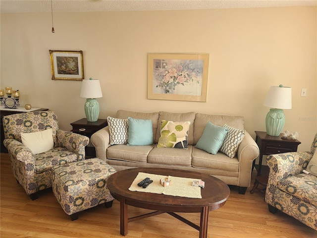 living room with light wood-type flooring