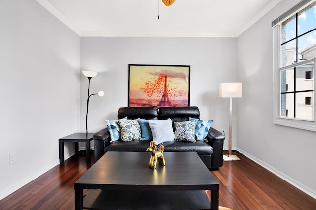 living room with a healthy amount of sunlight, crown molding, and dark wood-type flooring