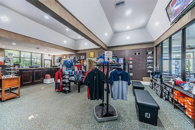 workout area featuring lofted ceiling, a tray ceiling, and carpet flooring