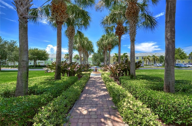 view of home's community with a yard