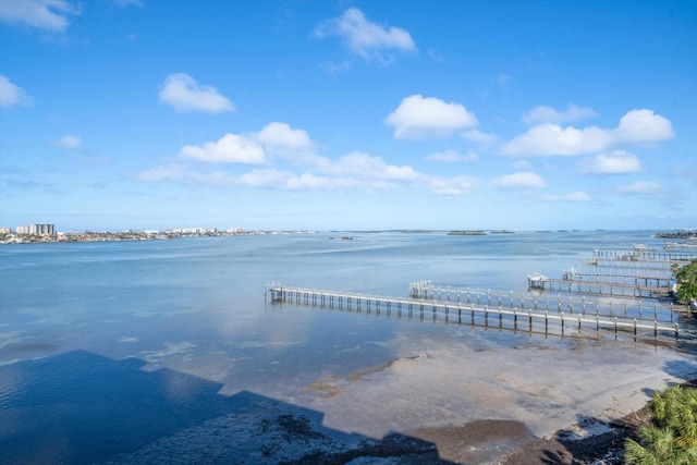 view of water feature with a dock