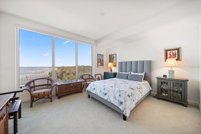 bedroom with carpet and a water view