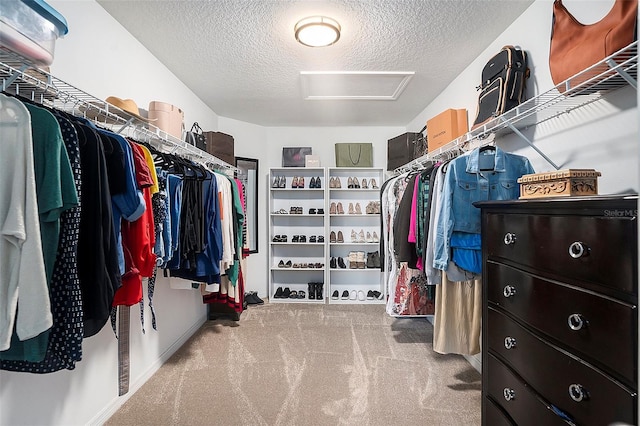 spacious closet with light carpet