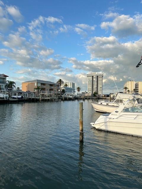 water view with a dock