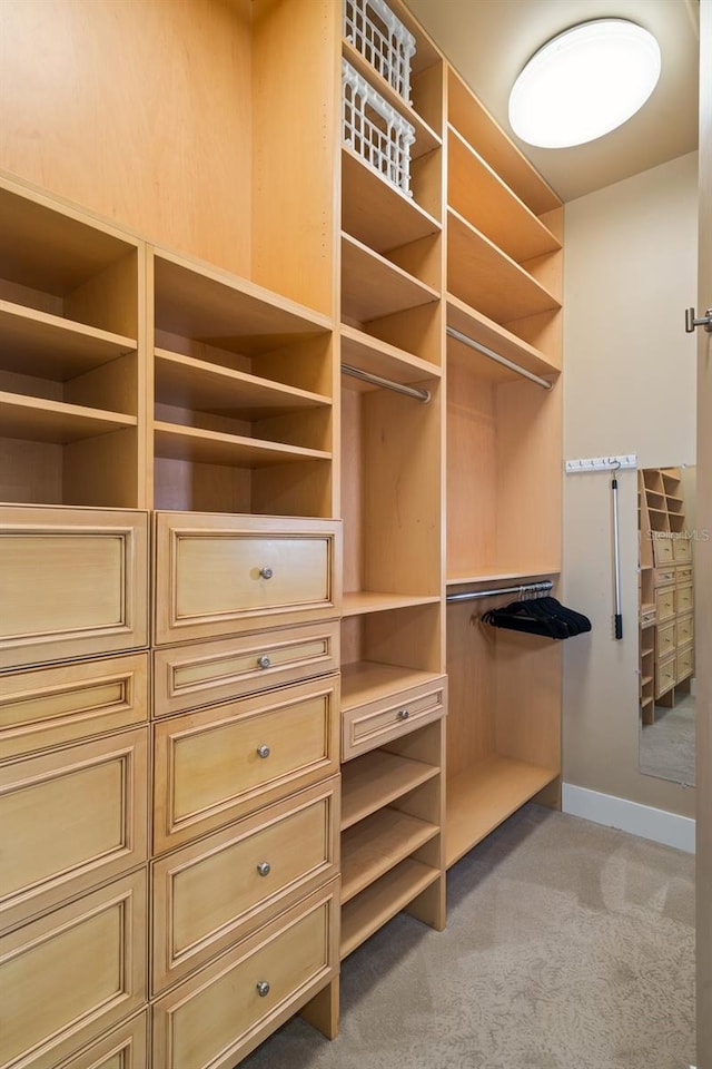 spacious closet with light carpet