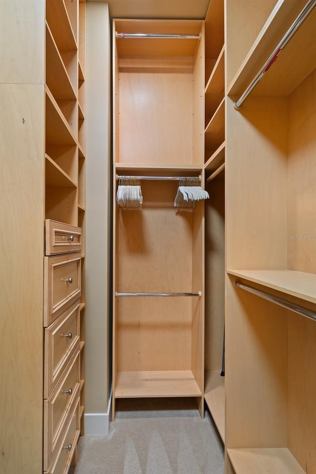 view of walk in closet