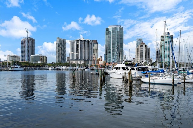 water view featuring a boat dock