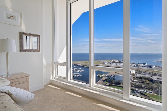 175 1st St S Unit 3402, Saint Petersburg, FL 33701 - photo 42