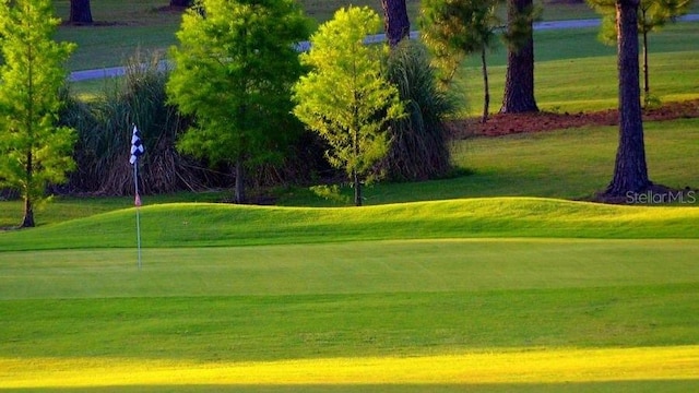 surrounding community featuring a lawn