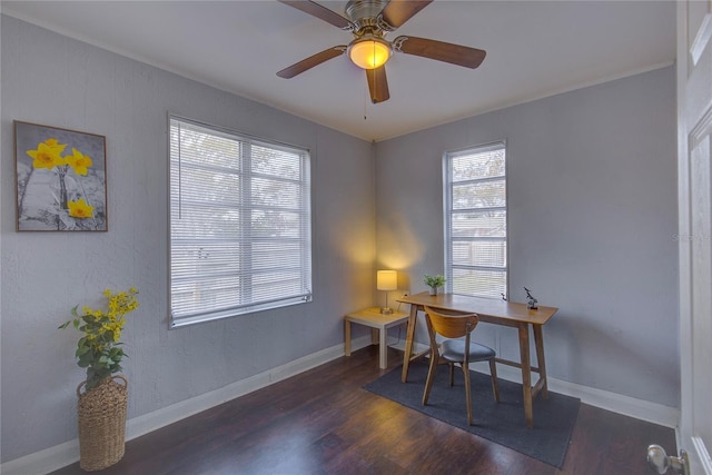 office area with dark hardwood / wood-style flooring and ceiling fan