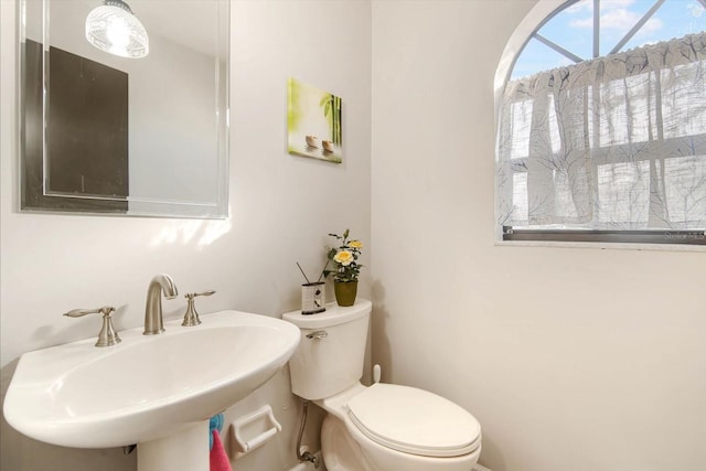 bathroom featuring sink and toilet