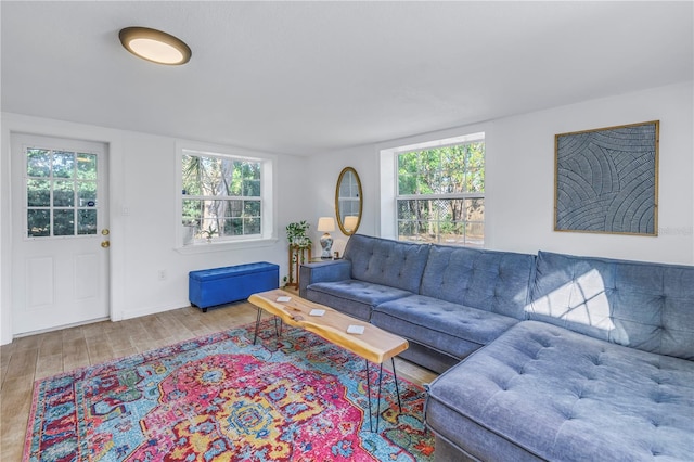 living room featuring hardwood / wood-style flooring and a wealth of natural light