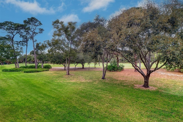 view of community featuring a yard