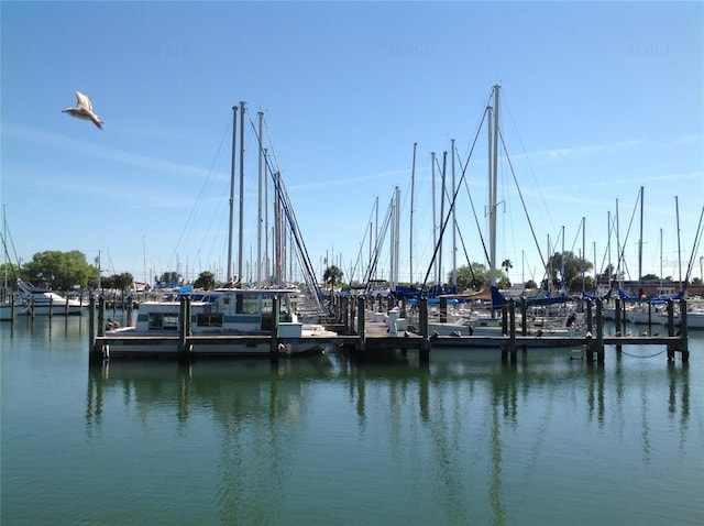 dock area with a water view