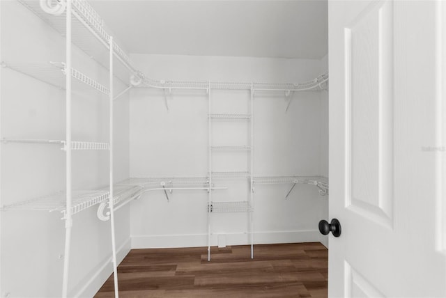 spacious closet with hardwood / wood-style flooring