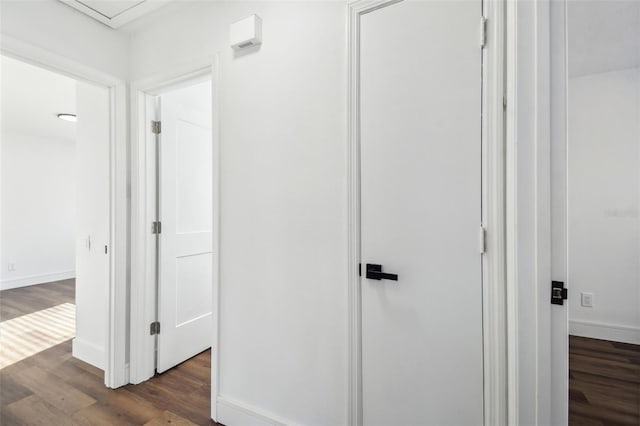 corridor with dark wood-type flooring