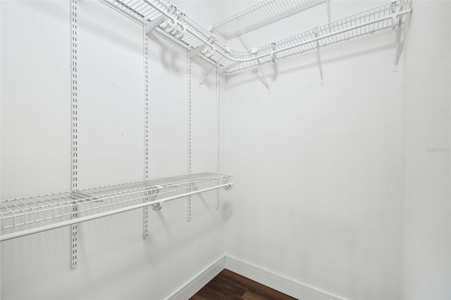 spacious closet featuring dark hardwood / wood-style floors