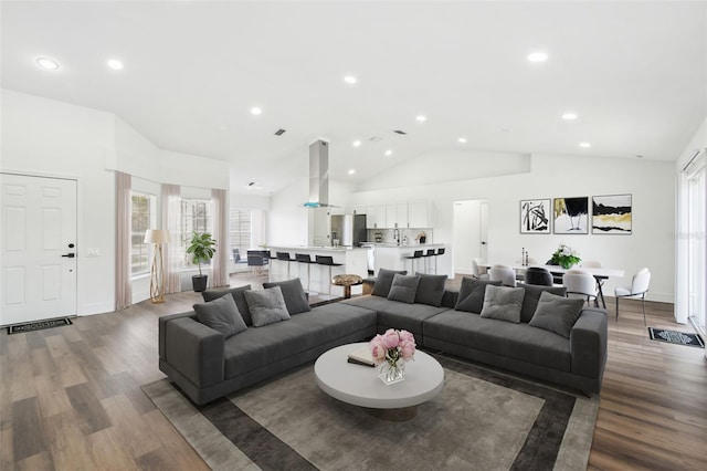 living room with wood-type flooring, a healthy amount of sunlight, and high vaulted ceiling