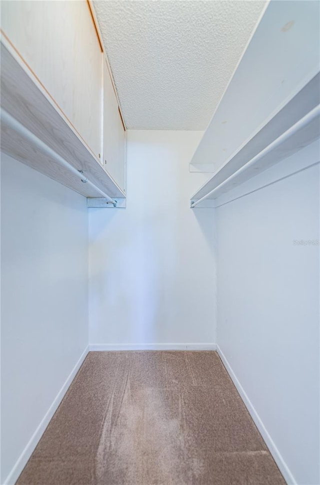 walk in closet with carpet